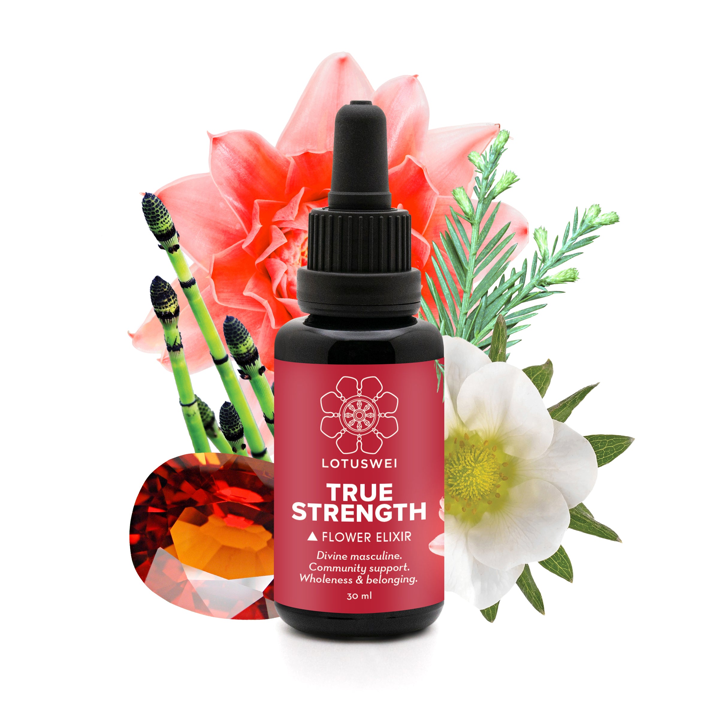 Strength Elixir Transparent True Strength Elixir – LOTUSWEI-WHOLESALE