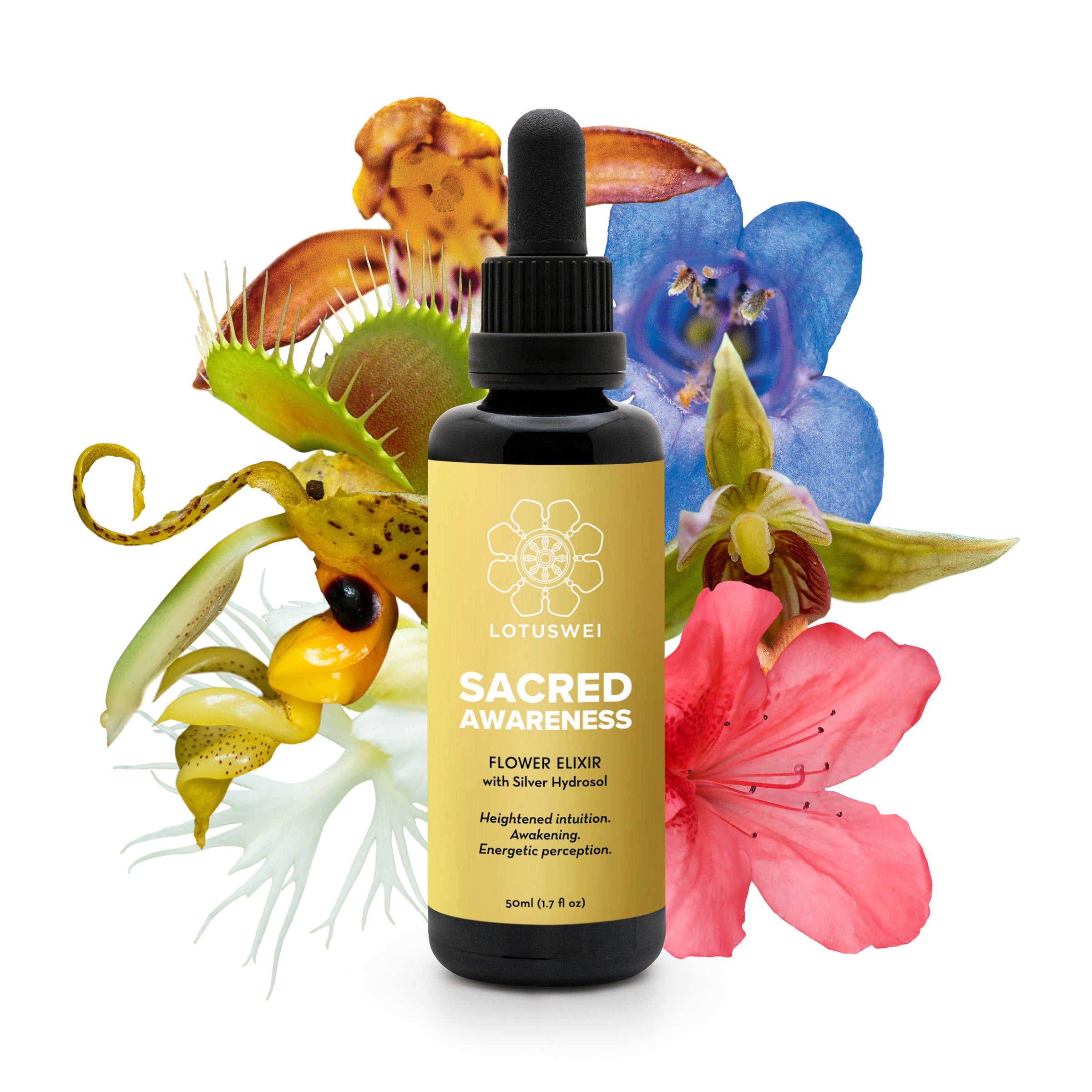 Sacred Awareness Flower Elixir – LOTUSWEI-WHOLESALE
